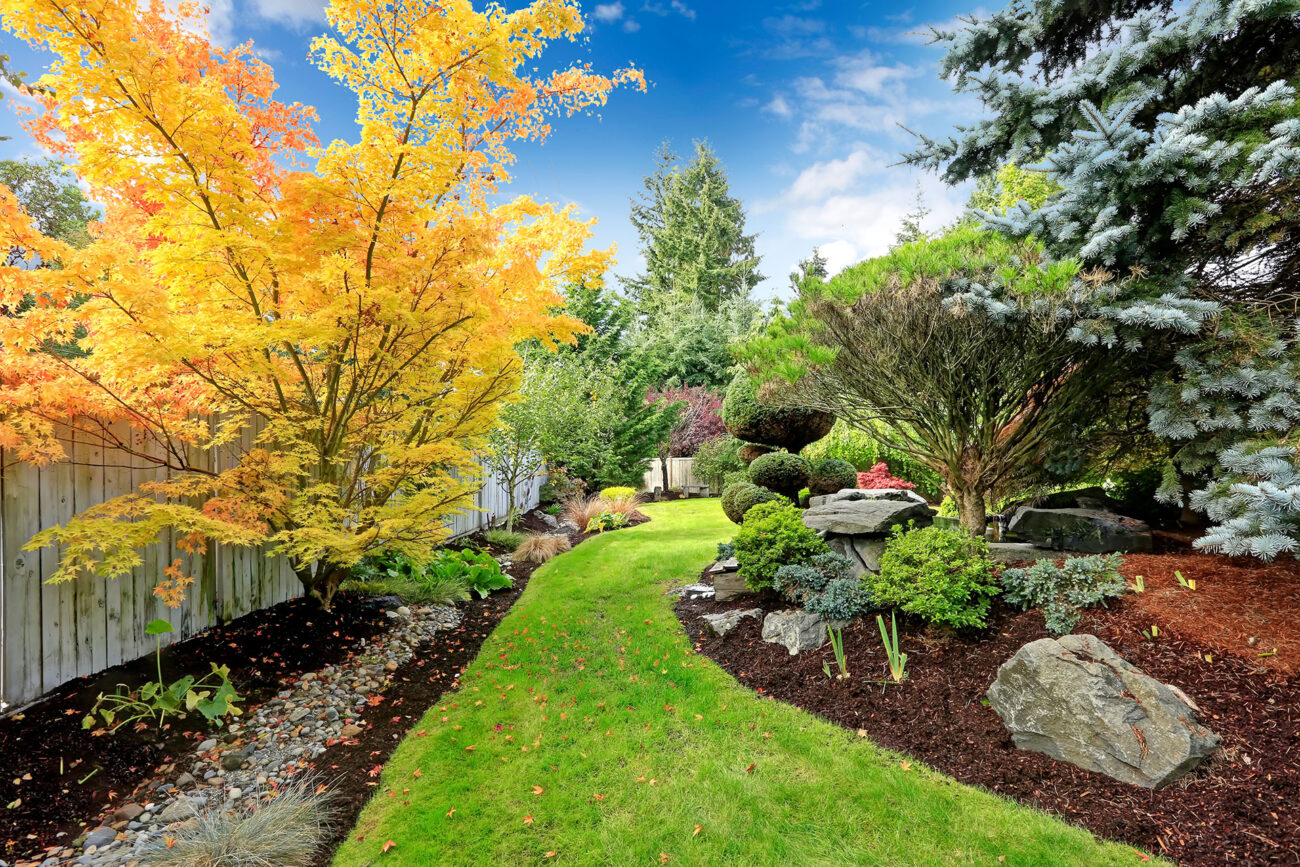 landscaping design hamilton