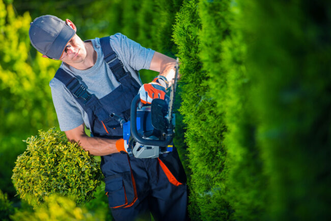 landscaping niagara